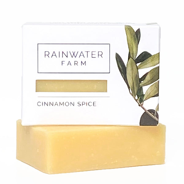 Cinnamon Spice Soap